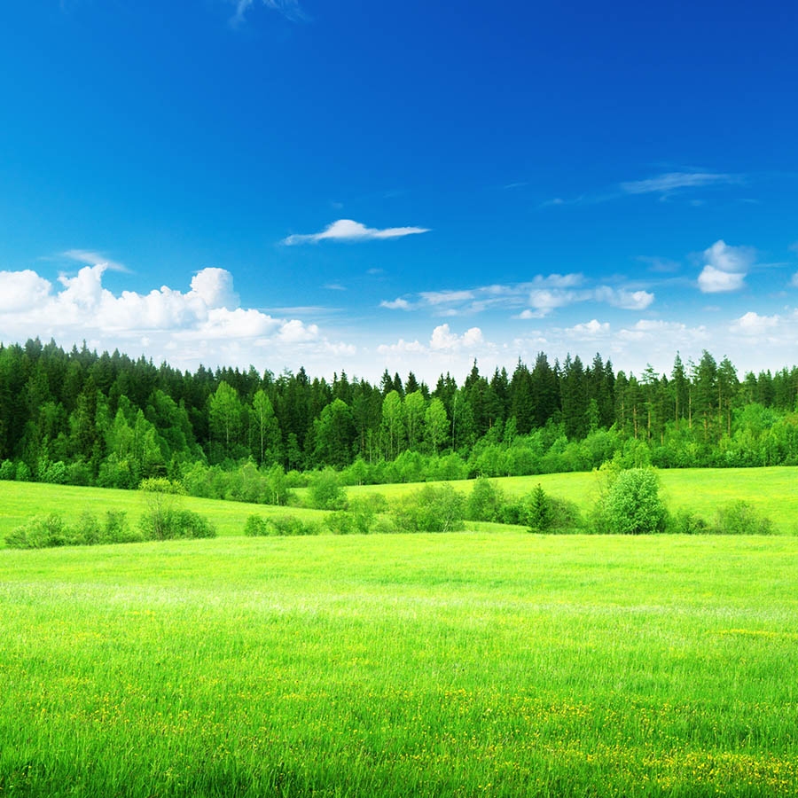 Обогреватель керамический DIMOL Standart Plus 03 Drawing Nature - фото 6.
