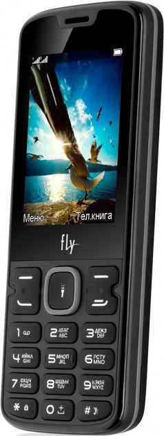Мобильный телефон FF250 Black - фото 3.