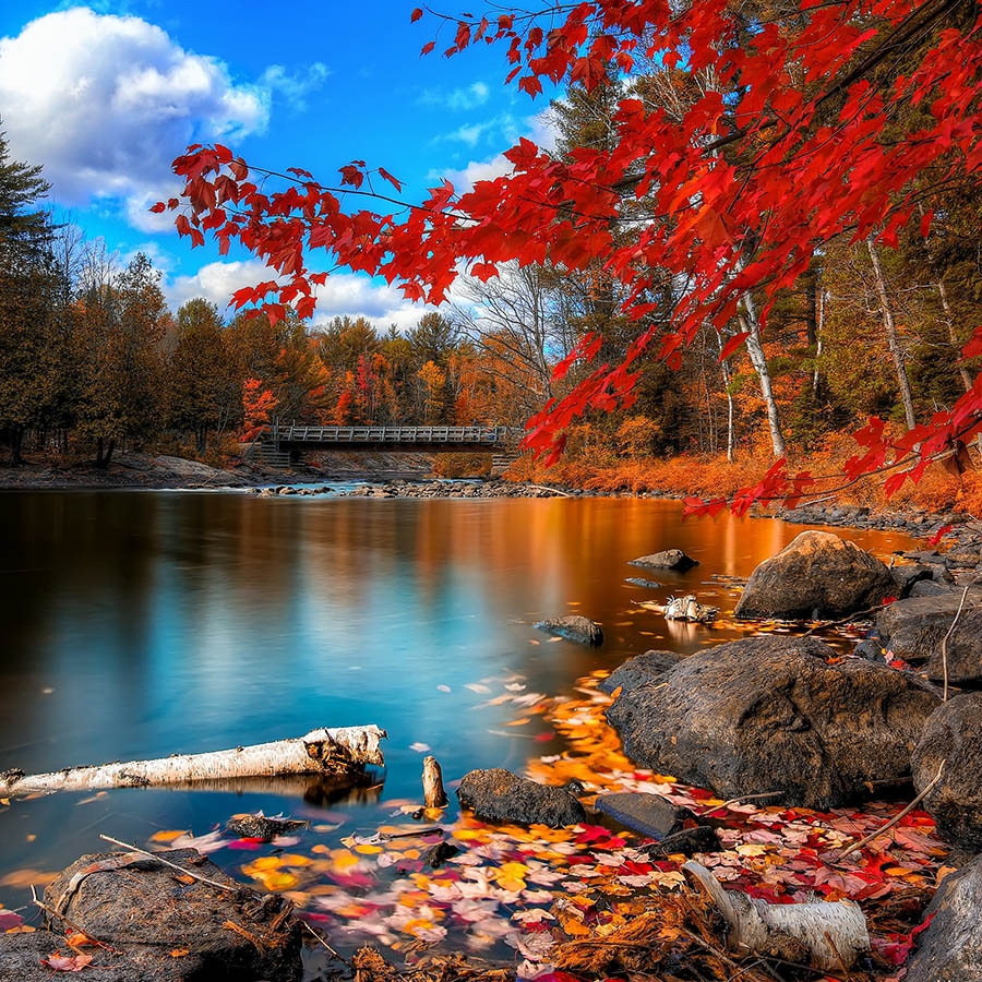 Обогреватель керамический DIMOL Standart Plus 03 Drawing Nature - фото 13.