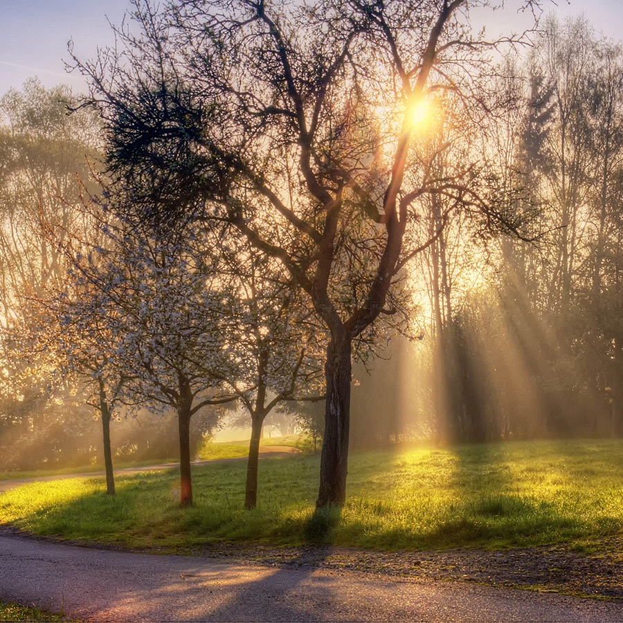 Обогреватель керамический DIMOL Standart Plus 03 Drawing Nature - фото 14.