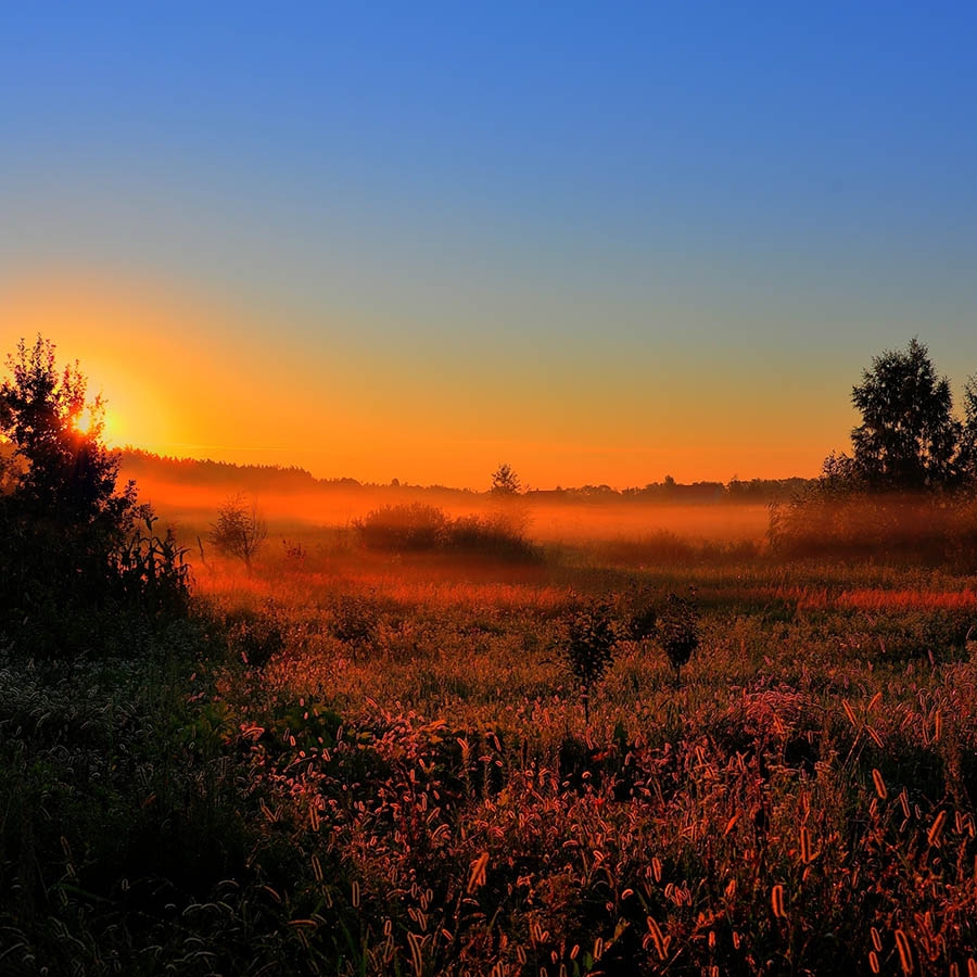 Обогреватель керамический DIMOL Standart Plus 03 Drawing Nature - фото 16.