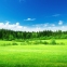 Обогреватель керамический DIMOL Standart Plus 03 Drawing Nature - 10 Обогреватель керамический DIMOL Standart Plus 03 Drawing Nature - фото 9.