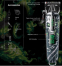 Машинка для стрижки VGR V-279 Green - фото 5.