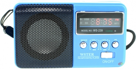 Радіо WSTER WS-239