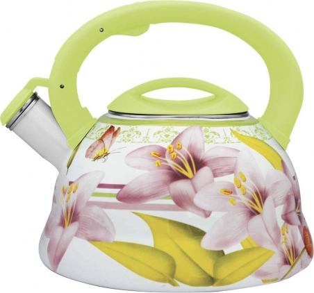 Чайник Maxmark MK-1009