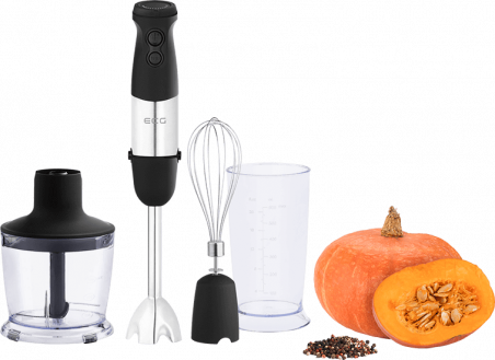 Блендер ECG RM 750