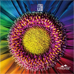 Вага підлогова Monte MT-6011-8