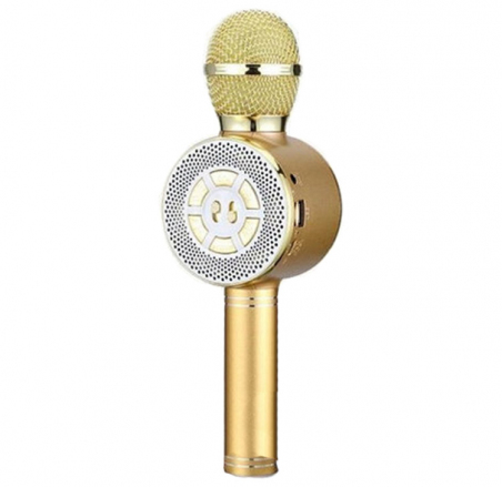 Безпровідний мікрофон караоке WSTER WS-669 Gold