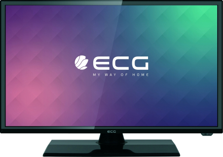 Smart телевизор ECG 24HS01T2S2