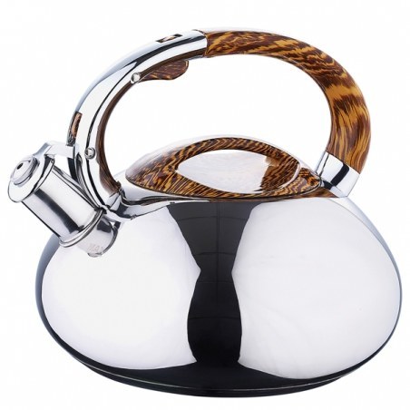 Чайник Wellberg WB-6090