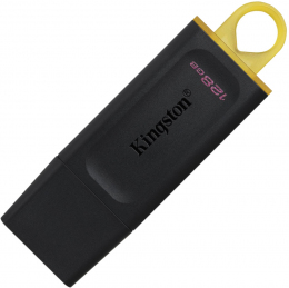 USB-флеш-накопичувач Kingston 128 GB DataTraveler Exodia (DTX/128GB)