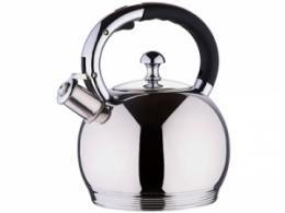 Чайник Wellberg WB-6056