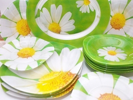 Столовий сервіз Luminarc Carine Paquerette Green G8909