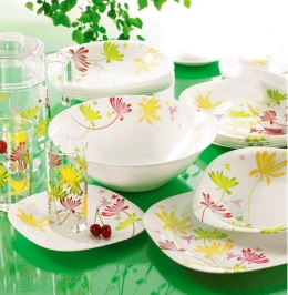Столовий сервіз Luminarc Crazy Flowers E8047