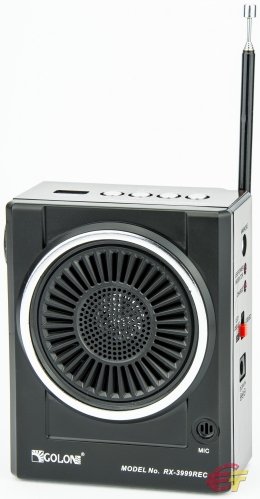 Радио Golon RX-3999REC