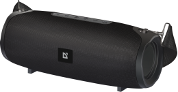 Портативна колонка Defender G22 20Вт, Black (65122)